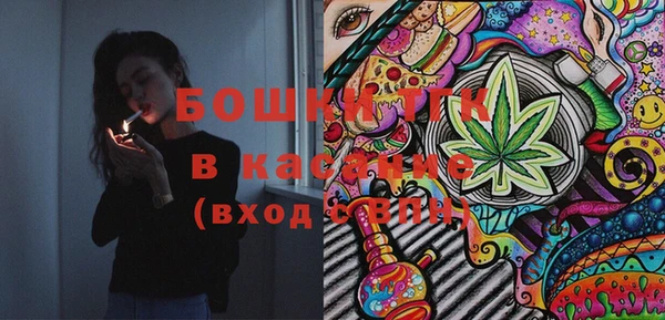 СК Алексин