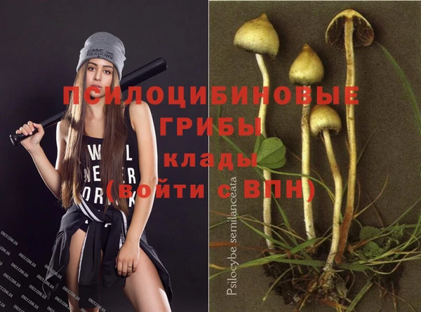 марихуана Абаза