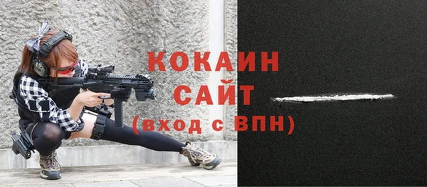 индика Абинск