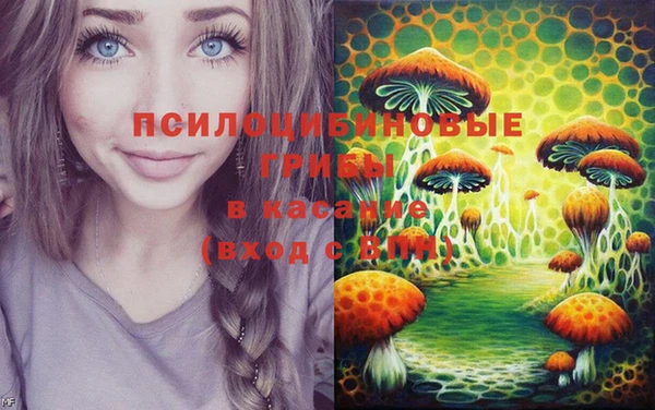 круглые Алексеевка