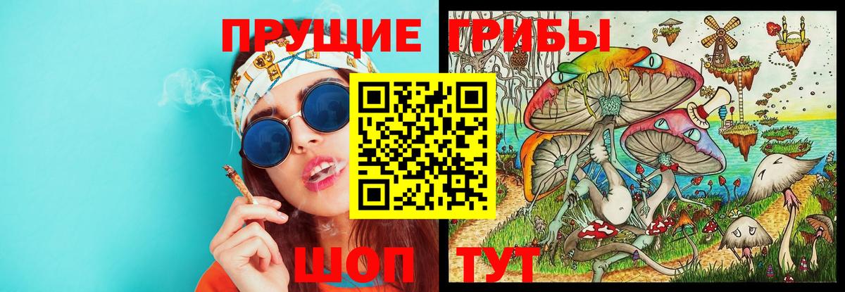 Галлюциногенные грибы мицелий Киров