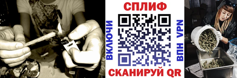 Канабис OG Kush Киров