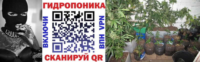 Канабис тримм  мориарти как зайти  Киров 